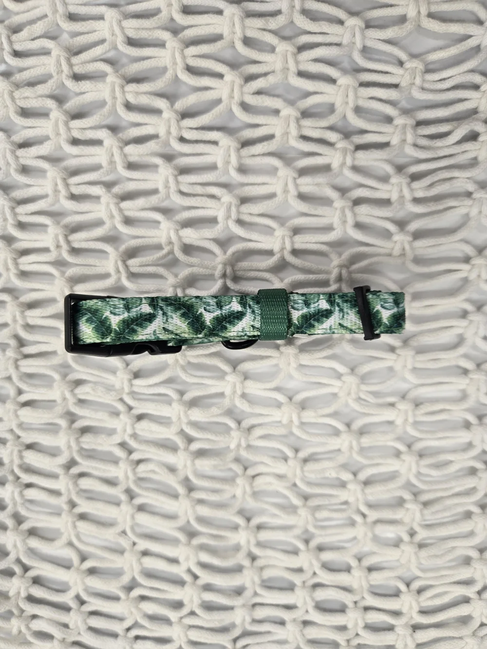 Sassy Woof Green Tropical Leaf Pet Collar - SMALL